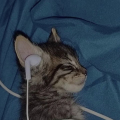 KILL EVERBODY---laura les remix @ hurt-free network, nov 28 2020