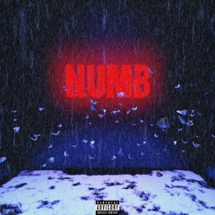 Numb - Nim x Laira