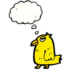 Little Bird 33