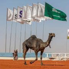 ‎ . شيلة العاصفه اداء محمد ال نجم وصالح اليامي