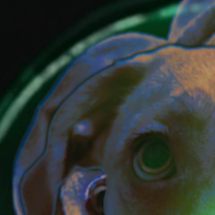 imonyahead leak (with fubar)