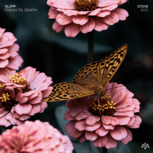 FREE DOWNLOAD: Slipp - Fresh Til Death [Stone Seed]