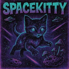 Spacekitty 🐈