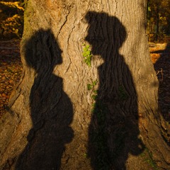 Amor (Lamento della ninfa)