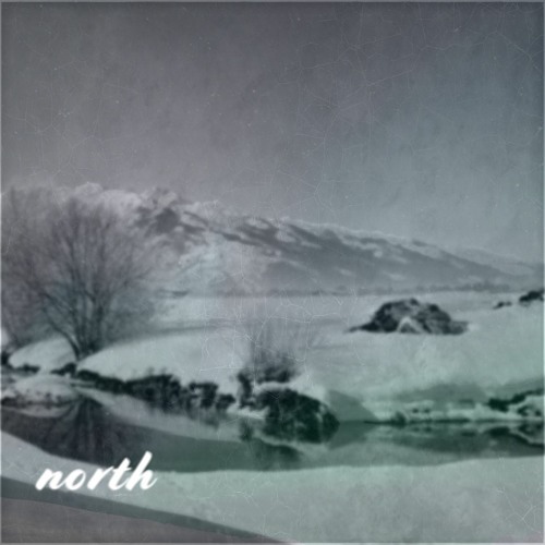 north