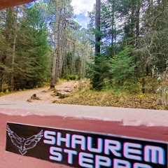 Shaurem Steppa - The River The Mountain And Heaven