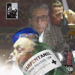 вагон61поездатюменьурал