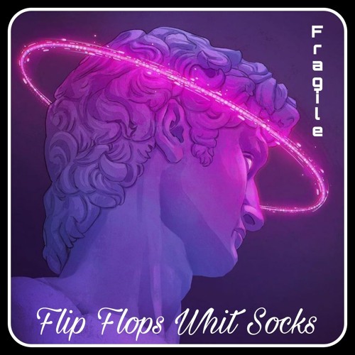 Flip Flops With Socks - Fragile