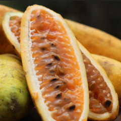 Dinner@Diggler's #207 - Curubas