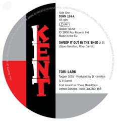 Sweep It out in the Shed