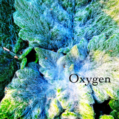 Oxygen
