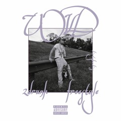 2drunk freestyle (prod by rxkz)