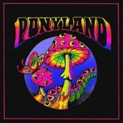 IROH & Flipper Floyd – Ponyland
