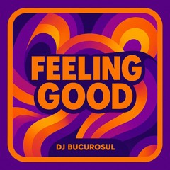 DJ BUCUROSUL - Feeling good
