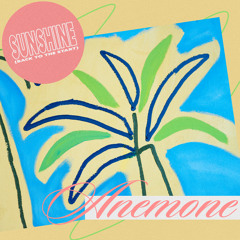 Sunshine (Back To The Start)