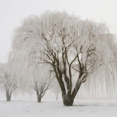Frozen Willow, Piano Solo ℗