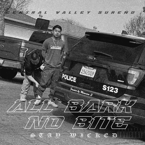 STAY WICKED - ALL BARK NO BITE