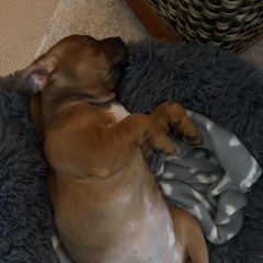 hvilken som helst farve vers1.mp3