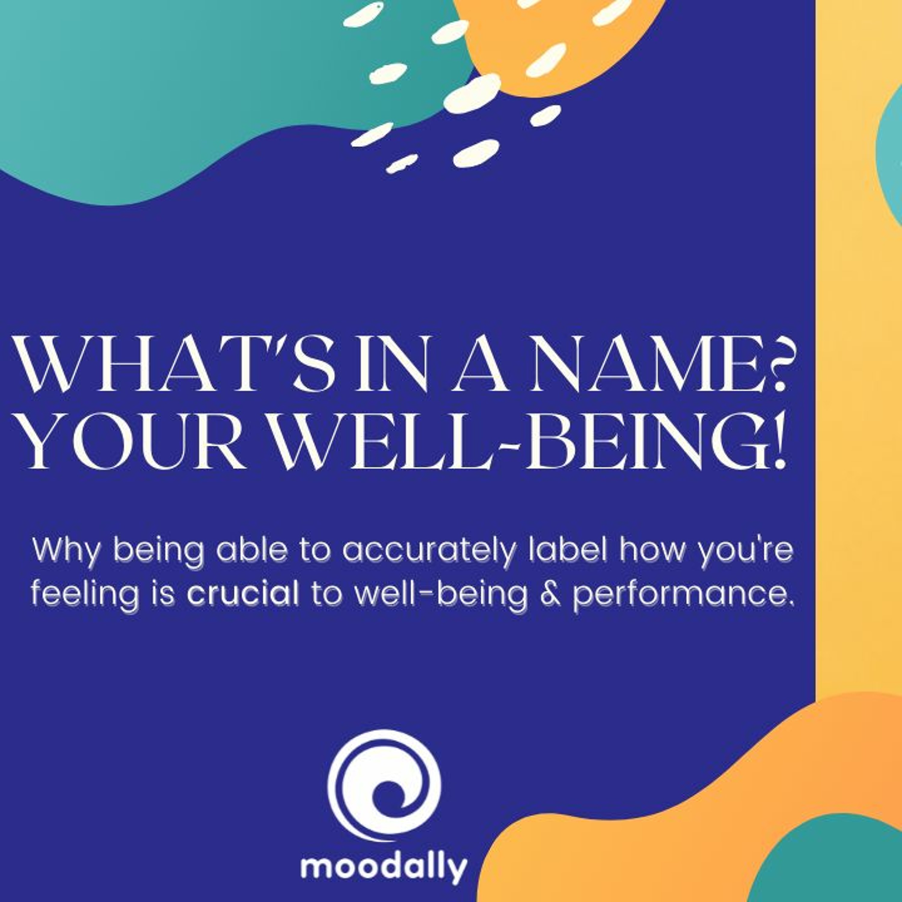 Moodally Matters