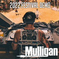 Mulligan - Festival Demo 2022