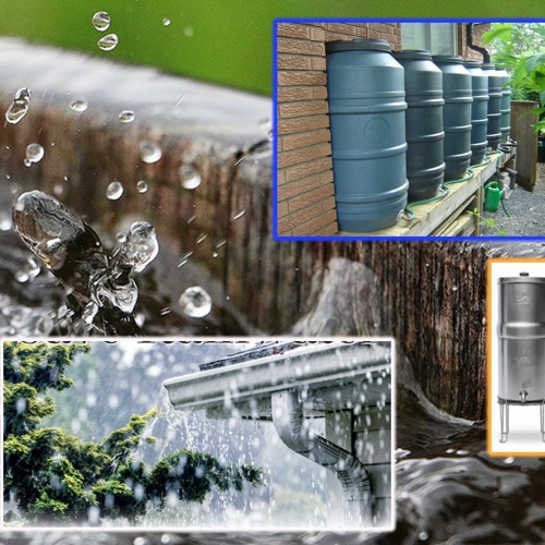 Prepping 301: Water Solutions - Tips For Making Sure You & Your Family Have Water You Need