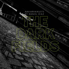 The Dark Fields (naviarhaiku373)