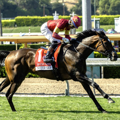 My Race Call Of The 2025 San Juan Capistrano Stakes At Santa Anita Racetrack