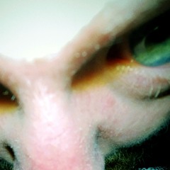 sign crushes motorist beat (CUTZ)