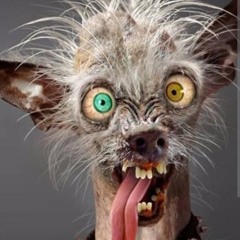 Crazy like me (Hard Edition)