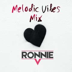 Melodic Vibes Mix 8