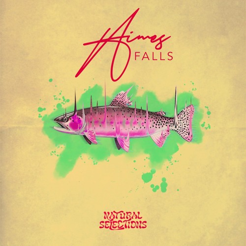 PREMIERE: Aimes - Wah La (Thomass Jackson Remix) [Natural Selections]