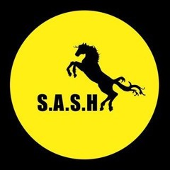 SASH Warmup Mix