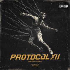 PROTOCOL XII - FROM CHAOS TO EQUALITY