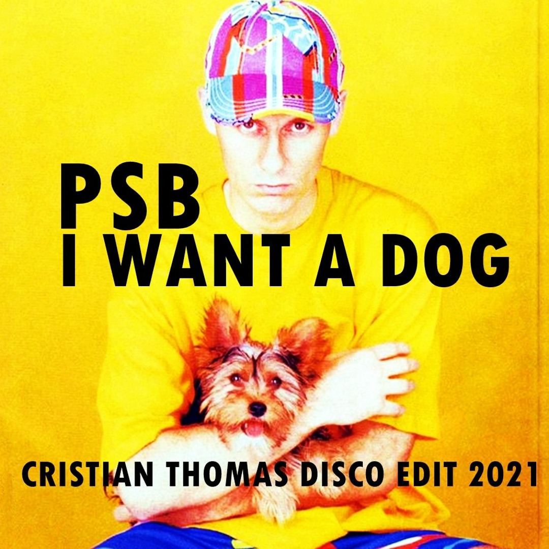 Stream PET SHOP BOYS - I WANT A DOG (CRISTIAN THOMAS DISCO EDIT