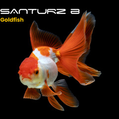 Goldfish