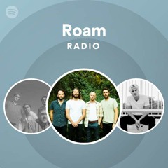 Roam Radio