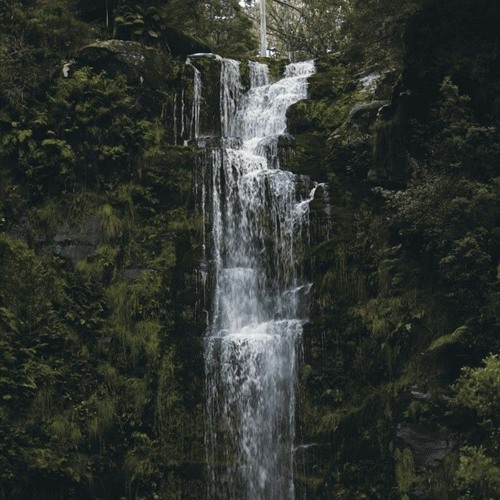 زين العمر - انتبهي