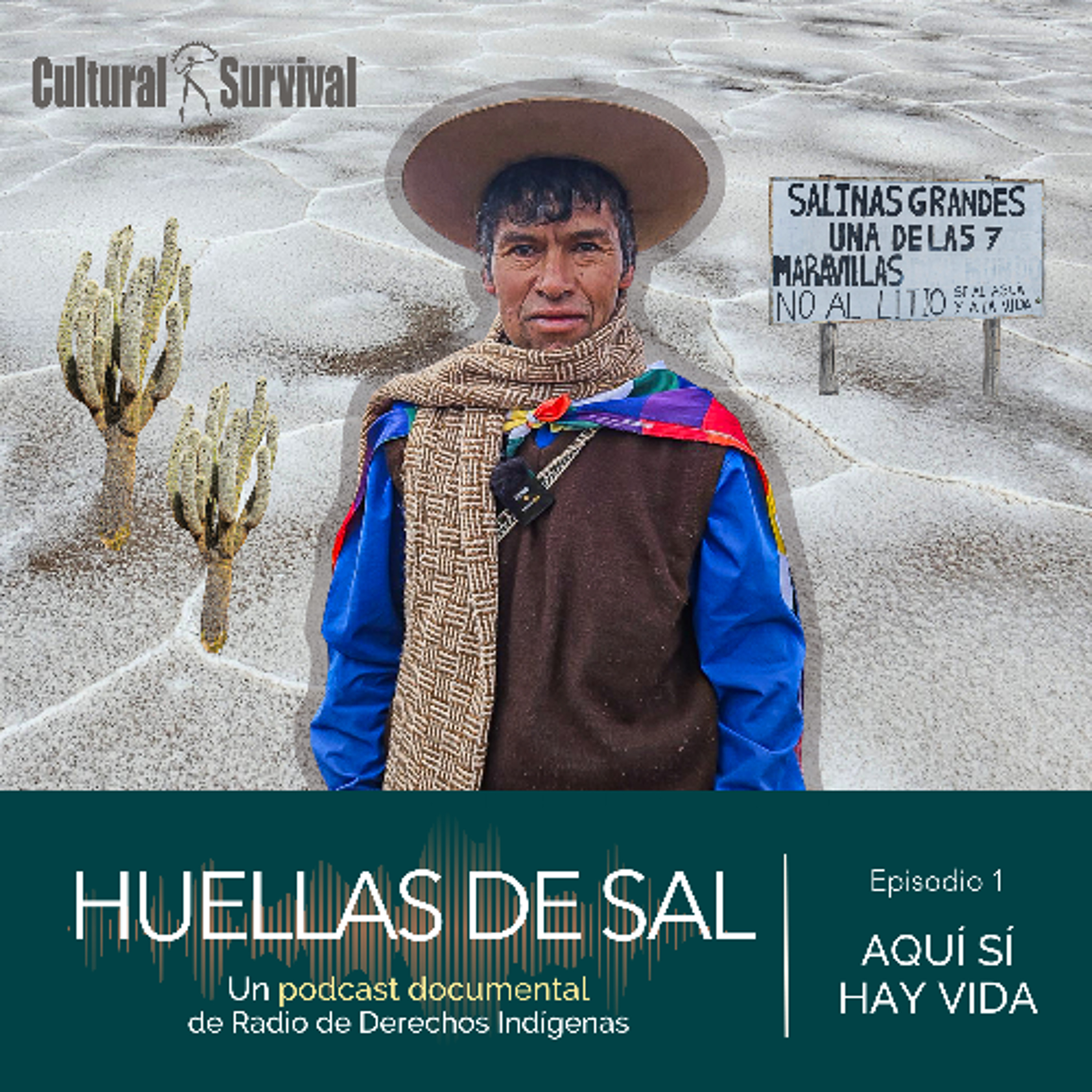 HUELLAS DE SAL - EPISODIO 1- AQUÍ SÍ HAY VIDA