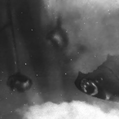 excerpt. Sebby Kowal - Large Air | ROHS!