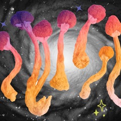 IM TRIPPIN (SHROOMS UP IN MY SYSTEM)