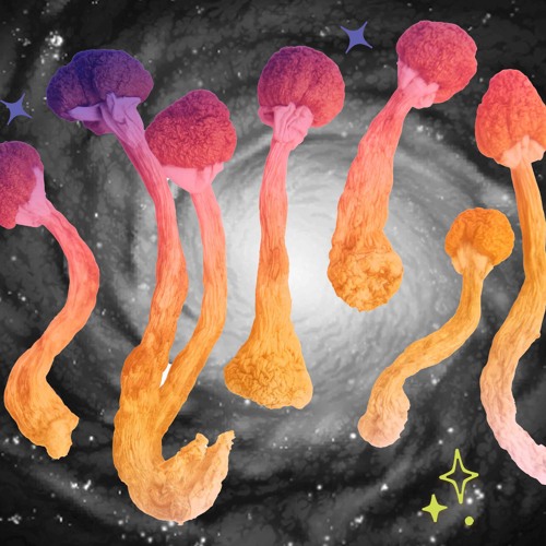 IM TRIPPIN (SHROOMS UP IN MY SYSTEM)