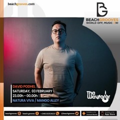 THE WAYFARER RADIOSHOW #42 - GUEST MIX DAVID PODHEL [BEACHGROOVES]