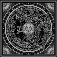 Anthropocentrism