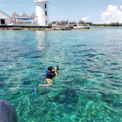 Review Special Price Private 40foot Adventure To Rose Island Snorkel Swim And Sip