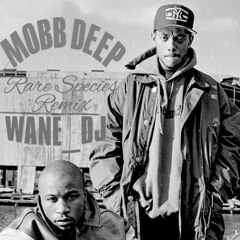 Mobb Deep - Rare Species (Wane_Dj Remix)