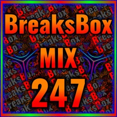 Break Beat Mix 247