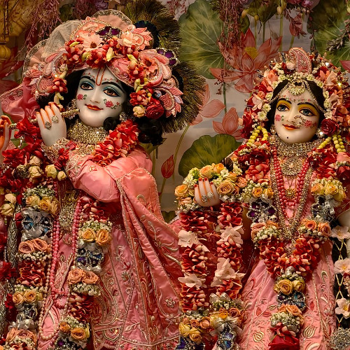 Hare Krishna - Radha-rasa-sudha-nidhi