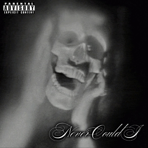 NeverCouldI (prod. by Imperial)