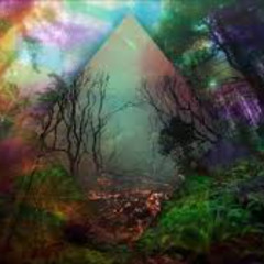 Found in the forest -Soūl Bløøm