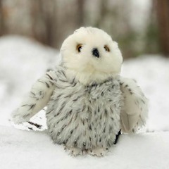 Snowy's Return